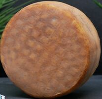 TRAPPE D'ECHOURGNAC ENTIERE(environ 300g)