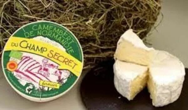  CAMEMBERT  du CHAMPSECRET  FERMIER AOP BIO  