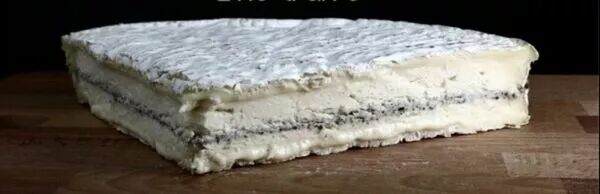 BRIE A LA TRUFFE NOIRE DU PERIGORD