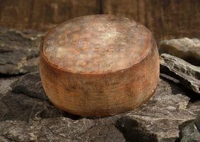 TRAPPE D'ECHOURGNAC DEMIE(environ 150g)