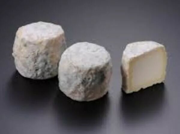 BOUTON DE CULOTTE FERMIER