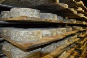 TOME DES BEAUGES AOP (environ 350g)