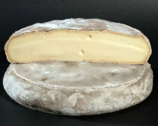 SAINT NECTAIRE FERMIER  