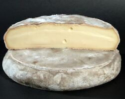 SAINT NECTAIRE FERMIER  (environ 250g)