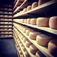 TOMME DE BREBIS FERMIERE DES PYRENEES (environ 200g)